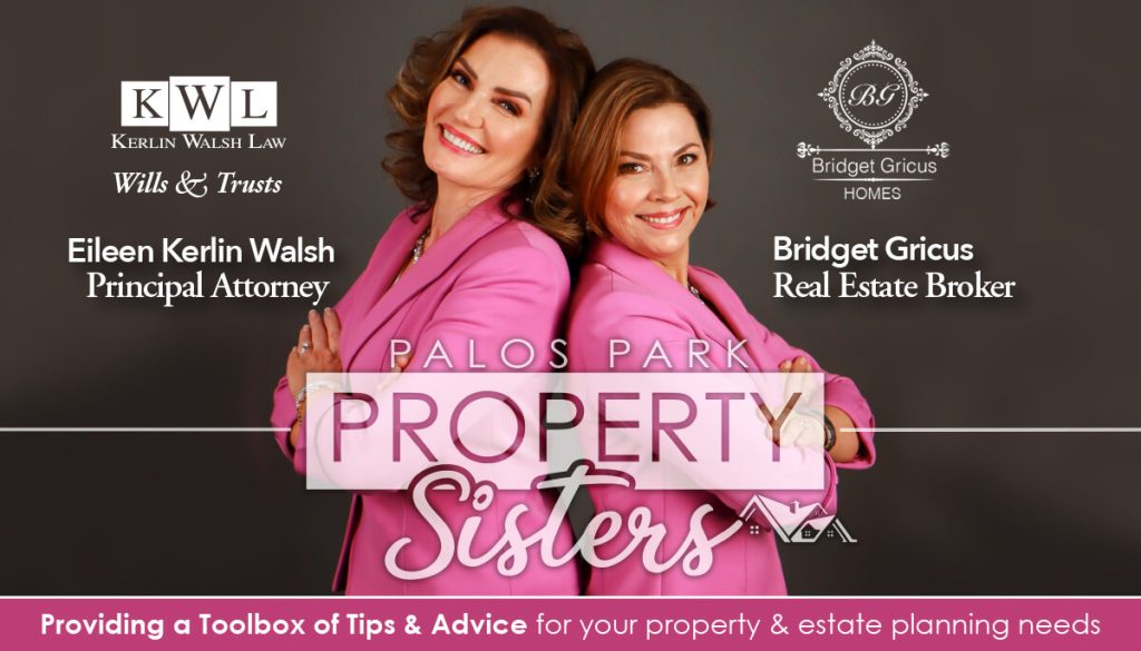 Palos Park Property Sisters Header - Picture of Eileen from Kerlin Walsh Law and Bridget from Bridget Gricus Homes standing back to back in pink suits.