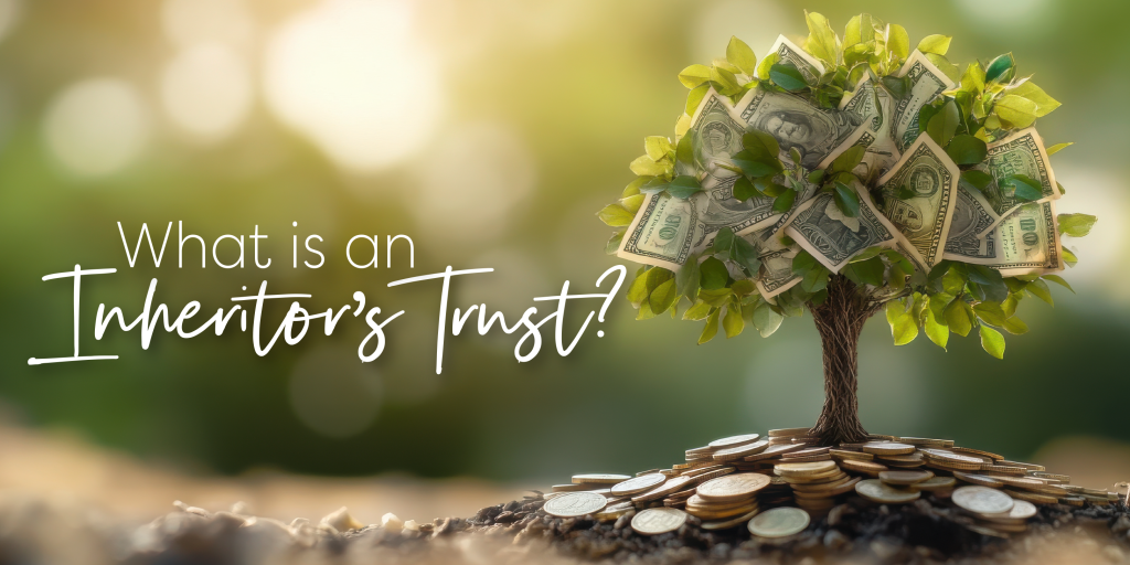 A money tree with bills as the leaves and coins as the ground underneath it.